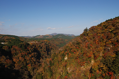 大吊り橋からの紅葉