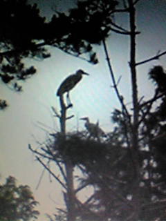 メモリーカードＮＯ．３ 057.jpg