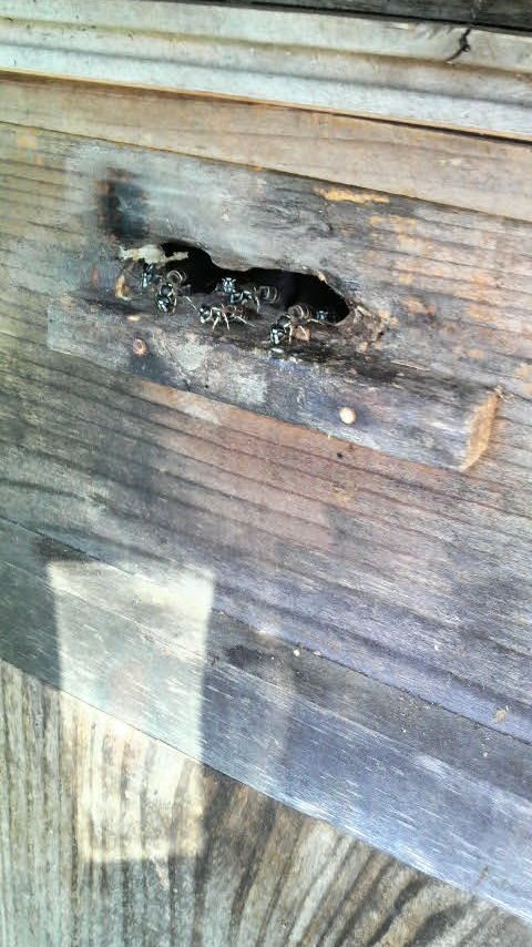 メモリーカード５ 097.jpg