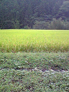 メモリーカードＮＯ．３ 121.jpg