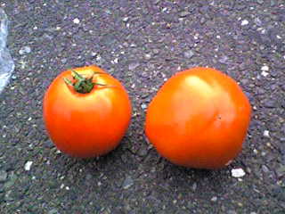 メモリーカードＮＯ．３ 114.jpg