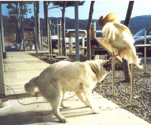 本気で怒った！.jpg