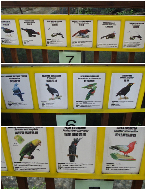 とにかくたくさんいますおすすめ♪