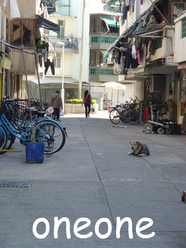 メタボなワンさん♪