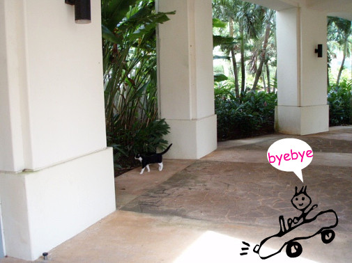 猫達とはココでお別れ～(^o^)/またね～♪