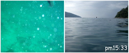 ってことで写真はたったの４枚(爆　流されないよう必死～(爆