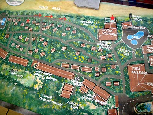 フランジパニMAP 散歩しながら～