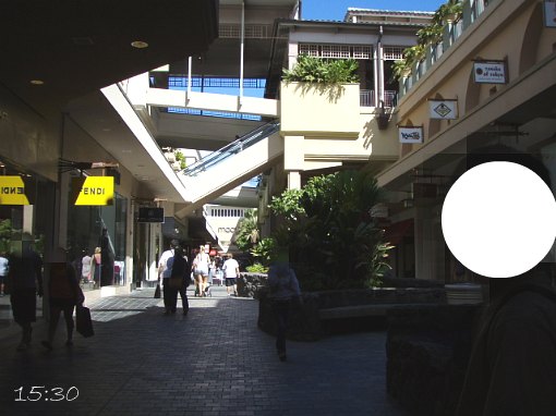 さて、帽子にネクタイ、海パン良いのがあるかな～