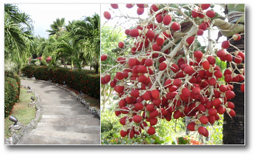 素敵なエントランス