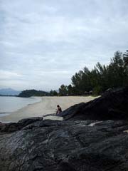 ひとりの女性!!だそうです