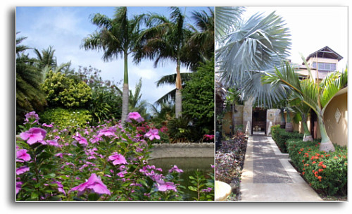 途中、池があったり～♪