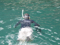 11:00 最初のポイント開始