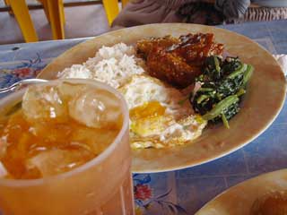 主人のナシチャンプルー