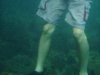 足しか無い(T.T)/