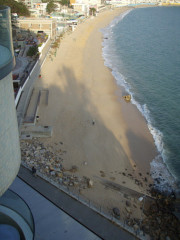 ビーチを散歩している