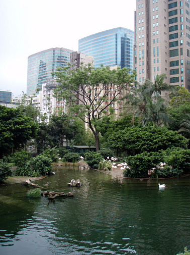 緑の谷間に細身なピンク団体☆