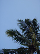 お天気よさそう♪お月様