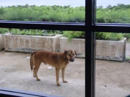 僕もいるよぉ～♪