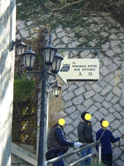 エントランスへ上がる階段沿い、伐採作業してました