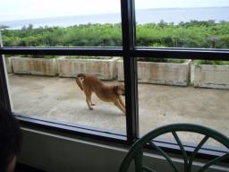 フ～伸びぃ～♪