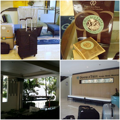 チョコチップクッキーのピックアップとチェックアウト~