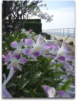 ラウンジの外へ～♪