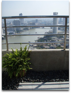 私はココのラインまで(汗