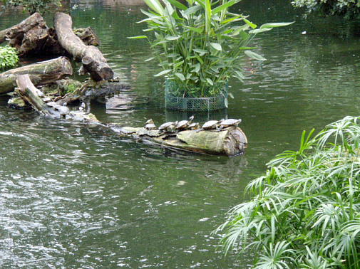 ワラワラいる♪