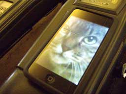 チャーも一緒にいます♪