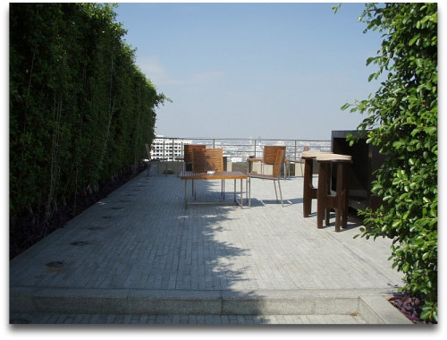 屋上のオアシスだY(^o^)Y