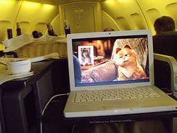 ガーフィー見てました～♪