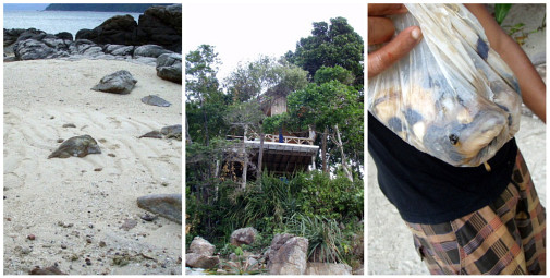 マウンテンのスタッフ君がオフのあいだに素潜りで獲ってきたんだって