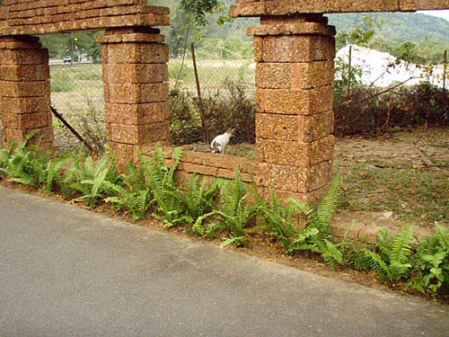 ちょっと♪ゴメンニャ