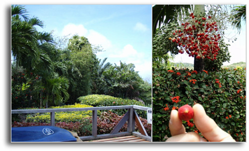 海を見ながら～