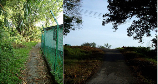 小学校の横を通り～