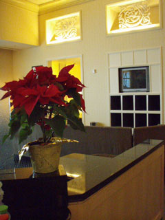 クリスマスカラーですね