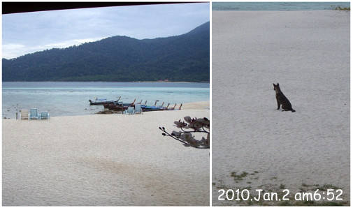 リベ島の朝、おはようございますワン