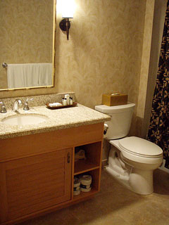 広いスリーインワンバスルーム