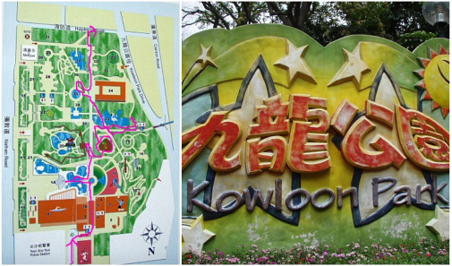 楽しかったウォッチング