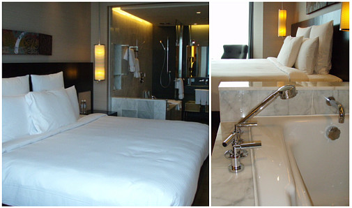 前回(2009.5月)の部屋とは反対側～ほとんど同じですがバスタブの向き位置とかデスク周りが少々違う