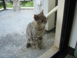 遊んであげたいけど・・・