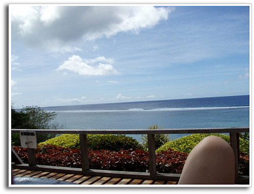 そろそろお昼ごはん時間だ