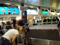 出てきました～♪