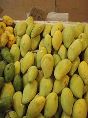 マンゴー命♪♪