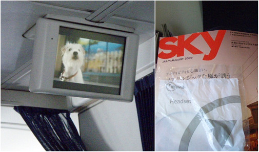 Hotel for Dogs鑑賞　nwaの袋