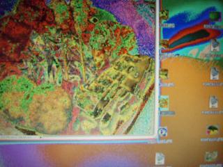 こんなになるの～(.)