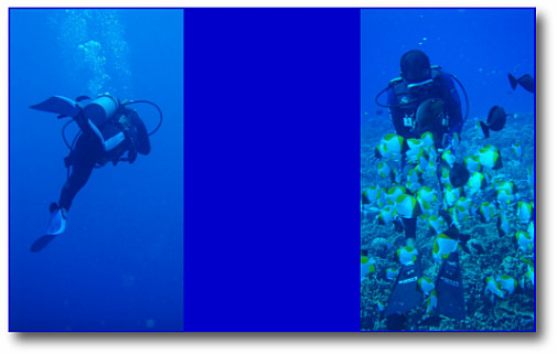 水温28.5 最大水深25m