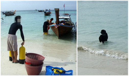 乗船準備中～　ジョン♪