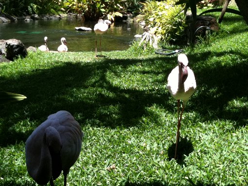 ♪こっちに近づいてきてくれた～！