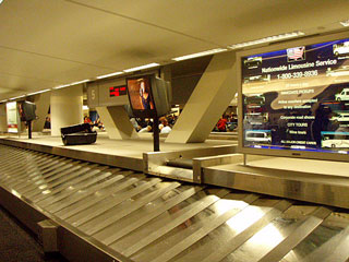 なかなか出てこない・・・。